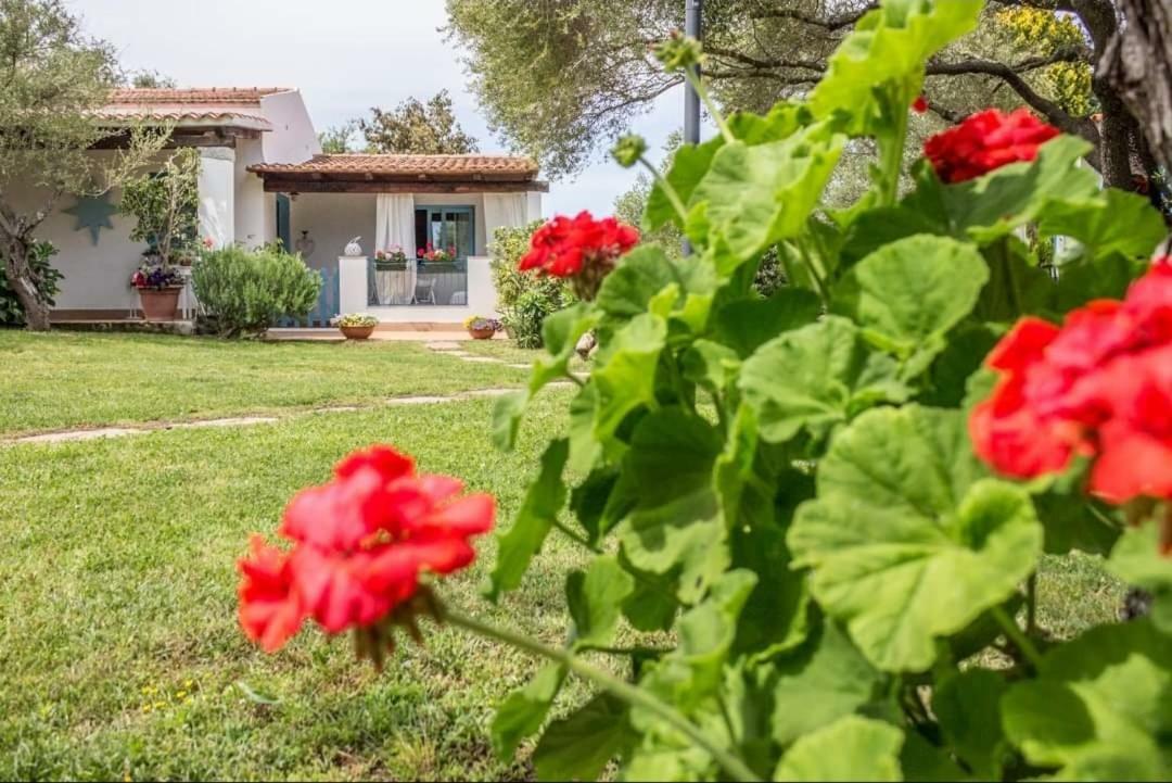 Il Falco Casa Vacanze - Cugnana - Porto Rotondo Luaran gambar