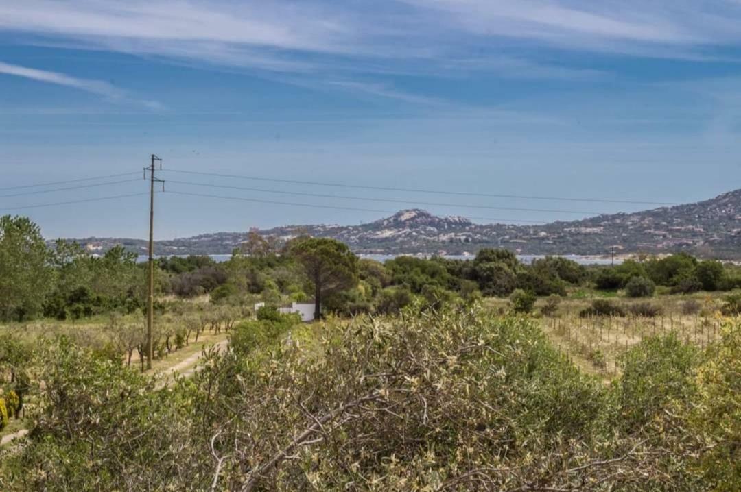 Il Falco Casa Vacanze - Cugnana - Porto Rotondo Luaran gambar